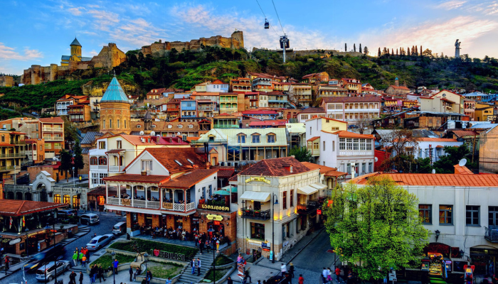 University admission consultants canada